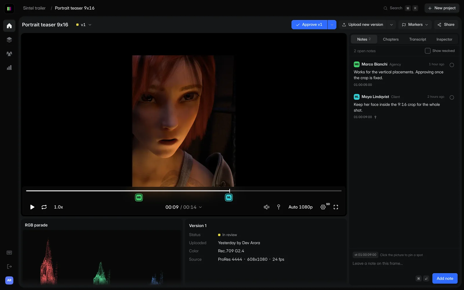 A portrait video and its framing notes in GradeVideo